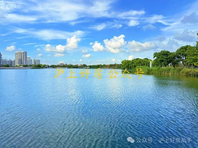 (营销中心)网站-招商林屿湖畔销售中心mg不朽情缘网站2025招商林屿湖畔(图13)